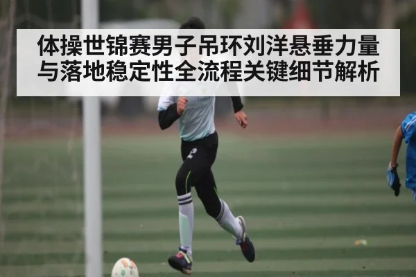 体操世锦赛男子吊环刘洋悬垂力量与落地稳定性全流程关键细节解析