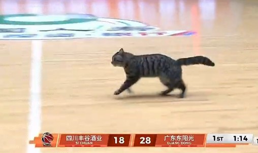 世界杯官方客户端下载-WC！陈国豪！太奇葩了...