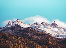 WTT重庆冠军赛 石洵瑶战胜陈幸同晋级女单八强